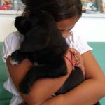 3 puppies in Vari