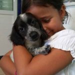 3 puppies in Vari