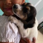 3 puppies in Vari